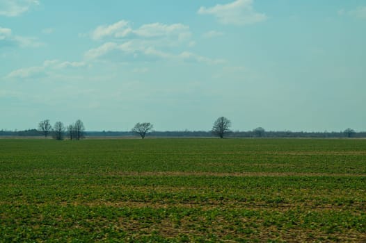 Wide field and the sky nature landscape background. horizon line