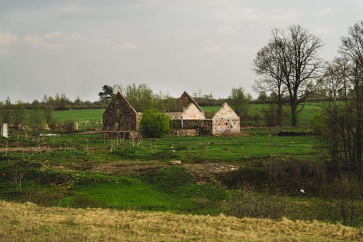 Old abandoned building in the forest. ruined cowshed. rural landscape