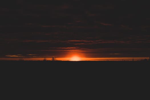 Golden sunset with sun and forest silhouette. horizon line at sundown