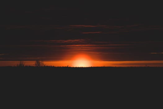 Golden sunset with sun and forest silhouette. horizon line at sundown