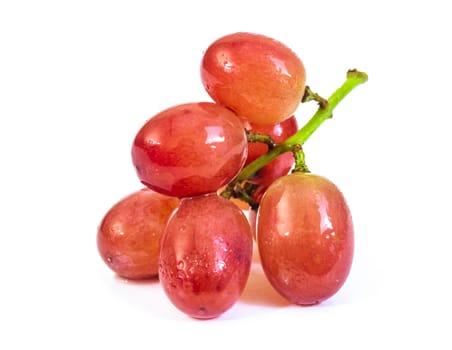 Red grape fruit isolated on white background