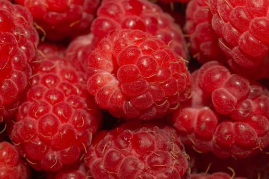 Fresh raspberry close up. ripe raspberries. red berry macro background