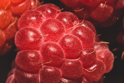 Fresh raspberry close up. ripe raspberries. red berry macro background