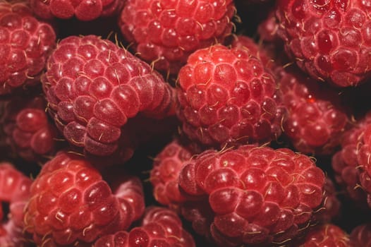 Fresh raspberry close up. ripe raspberries. red berry macro background