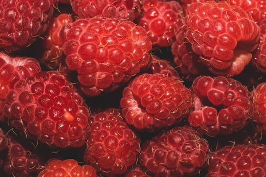 Fresh raspberry close up. ripe raspberries. red berry macro background