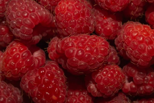 Fresh raspberry close up. ripe raspberries. red berry macro background