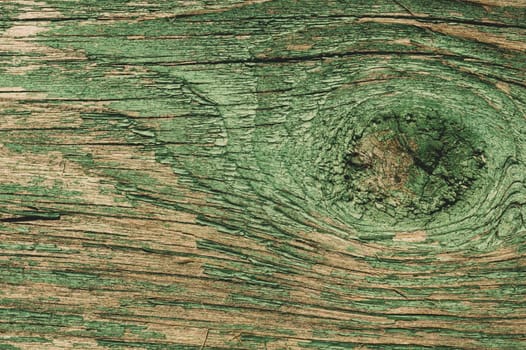 Abstract wood texture with peeling paint. green wooden backdrop. shabby painted wood background