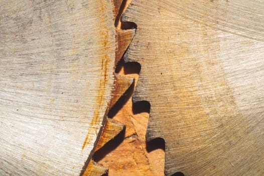Circular saw blades. carpentry tools. industrial background. equipment for sawmill and sawing wooden products
