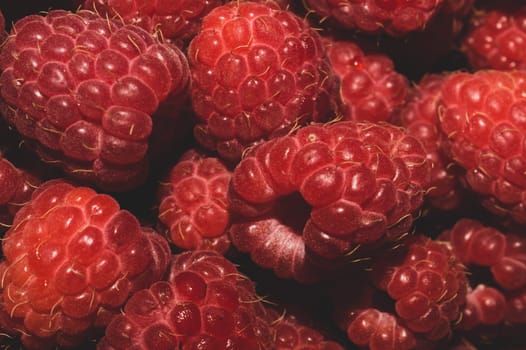 Fresh raspberry close up. ripe raspberries. red berry macro background