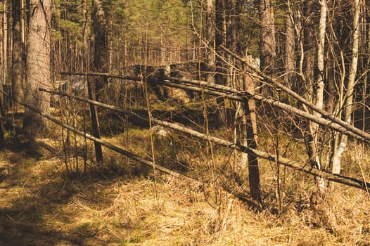 Wooden fencing between trees. natural view in the dense forest