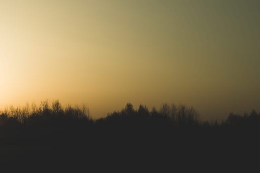 Silhouette of forest at sunset. sun setting behind the forest. evening landscape