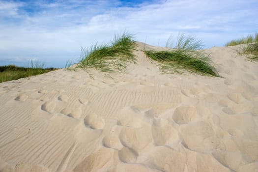 the dunes, Haamstede, Zeeland in the Netherlands