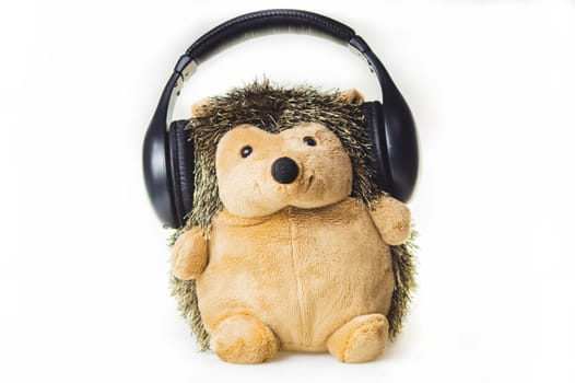 Plush hedgehog in the headphones. soft toy on a white background. listening to music concept