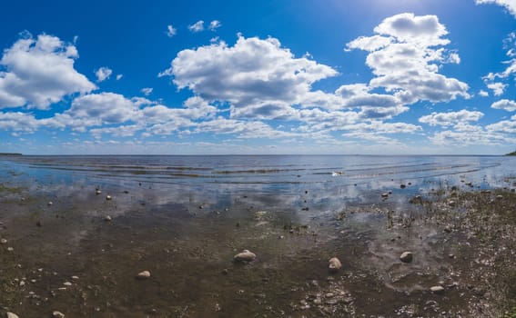Marshy sea shore. coastline panorama. seascape with horizon line. coast with silt. sky with clouds