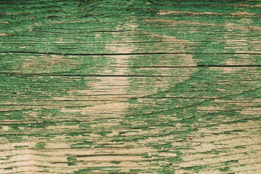 Abstract wood texture with peeling paint. green wooden backdrop. shabby painted wood background