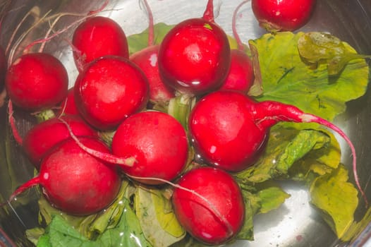 Fresh red radish with green leaves. vegetables soaked in bowl with water. vegetarian food. healthy eating