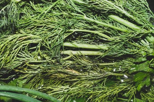 Fresh green dill in water. green vegetables. vegetarian food. healthy eating. ingredients for salad