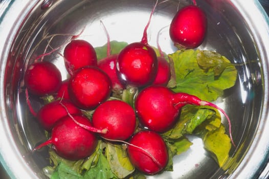Fresh red radish with green leaves. vegetables soaked in bowl with water. vegetarian food. healthy eating