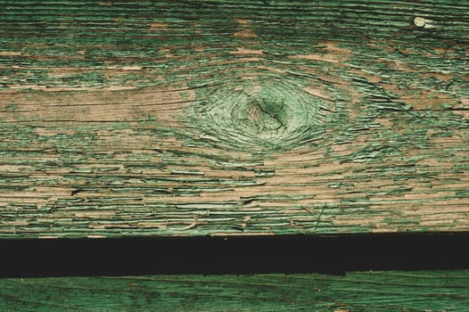 Abstract wood texture with peeling paint. green wooden backdrop. shabby painted wood background