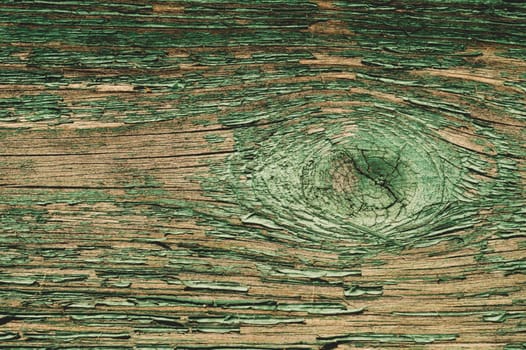Abstract wood texture with peeling paint. green wooden backdrop. shabby painted wood background