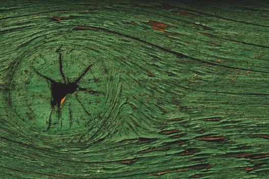 Abstract wood texture with peeling paint. green wooden backdrop. shabby painted wood background