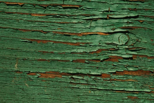 Abstract wood texture with peeling paint. green wooden backdrop. shabby painted wood background