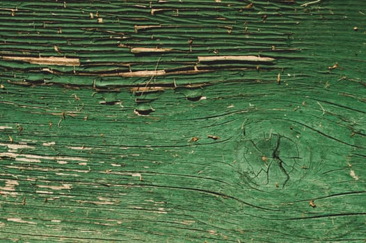 Abstract wood texture with peeling paint. green wooden backdrop. shabby painted wood background
