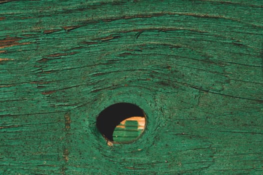 Abstract wood texture with peeling paint. green wooden backdrop. shabby painted wood background