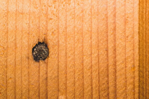 Nail in a wooden wall close up. brown wood texture