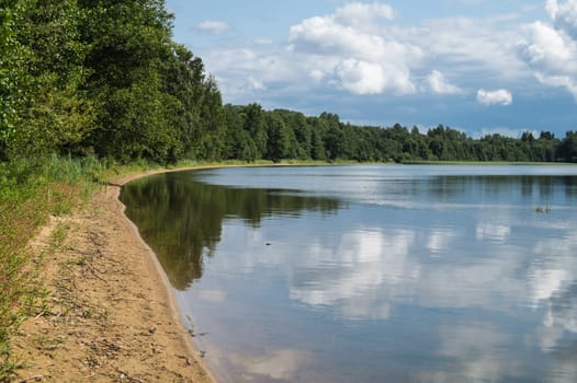 Coastline of the lake. green forest near the water