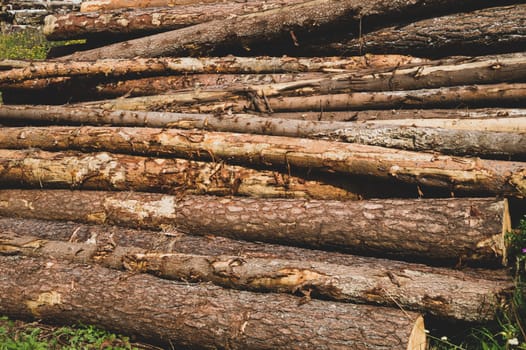 Pile of wooden logs texture. timber background. untreated wood