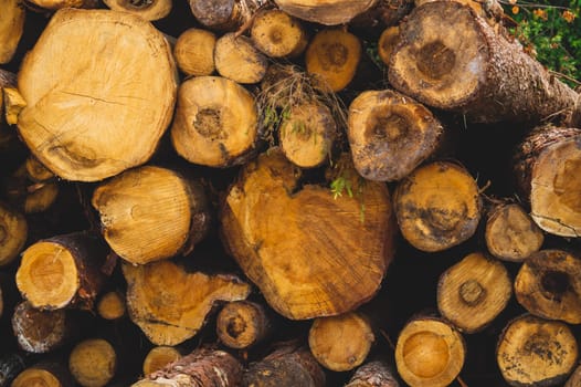 Stack of logs. natural wooden background with timber. log wall. pile of timber