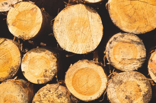 Stack of logs. natural wooden background with timber. log wall. pile of timber