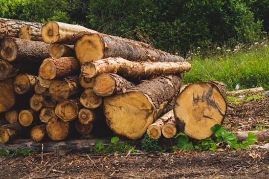 Stack of logs. natural wooden background with timber cuts. log wall