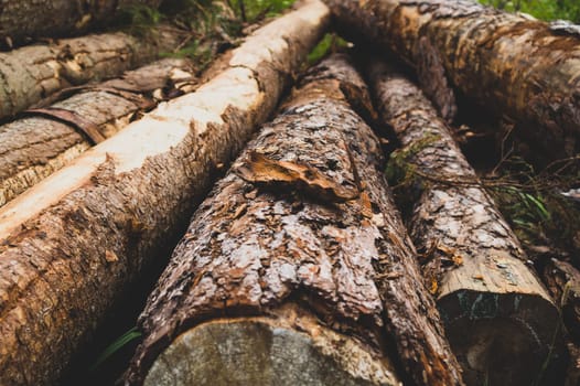 Pile of wooden logs. timber background. untreated wood