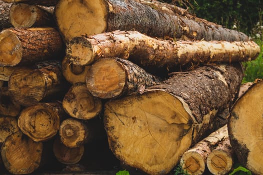 Stack of logs. natural wooden background with timber cuts. log wall