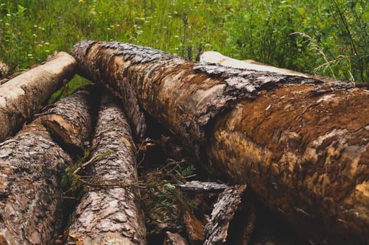 Pile of wooden logs. timber background. untreated wood