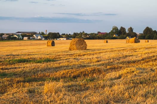Rolled haystack. hay bale. agriculture field with sky. rural landscape. straw on the meadow. harvest in summer. farm in the countryside
