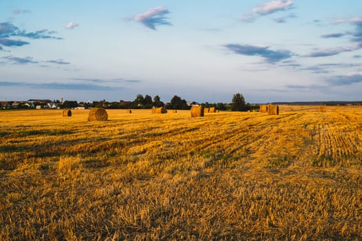 Rolled haystack. hay bale. agriculture field with sky. rural landscape. straw on the meadow. harvest in summer. farm in the countryside