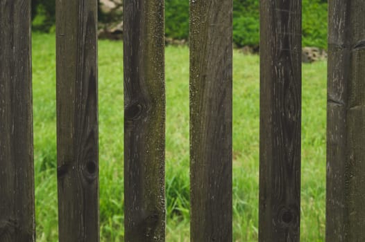 Wooden fence with gaps between the planks. courtyard behind the fencing