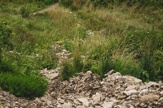 Heap of rocks lies on the grass. pile of stones rolled dawn the hill