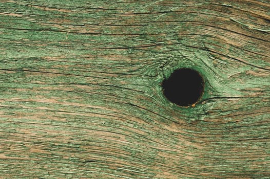 Abstract wood texture with peeling paint. green wooden backdrop. shabby painted wood background