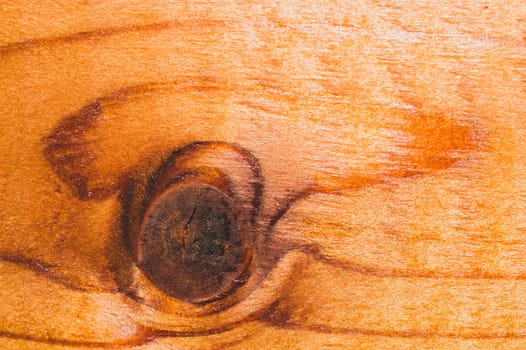 Wood texture with snag. brown wooden background