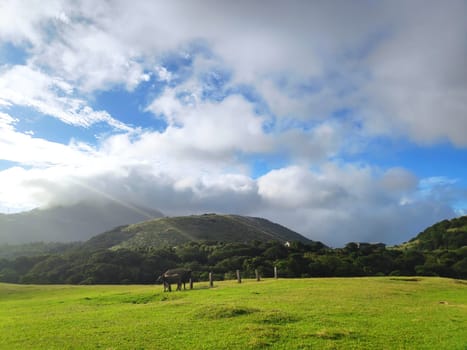 Qingtiangang, Taiwan-Oct 15, 2021: The natural source of alpine grasses is at Shangshan in Taipei City, Taipei City, Taiwan