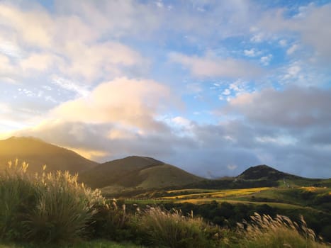 Qingtiangang, Taiwan-Oct 15, 2021: The natural source of alpine grasses is at Shangshan in Taipei City, Taipei City, Taiwan