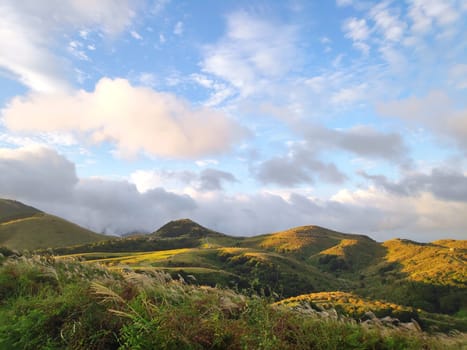 Qingtiangang, Taiwan-Oct 15, 2021: The natural source of alpine grasses is at Shangshan in Taipei City, Taipei City, Taiwan
