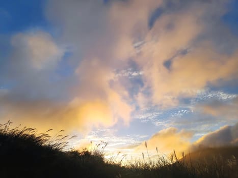 Qingtiangang, Taiwan-Oct 15, 2021: The natural source of alpine grasses is at Shangshan in Taipei City, Taipei City, Taiwan