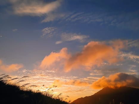 Qingtiangang, Taiwan-Oct 15, 2021: The natural source of alpine grasses is at Shangshan in Taipei City, Taipei City, Taiwan