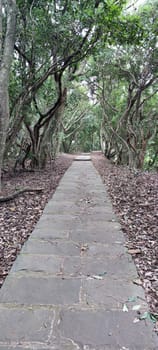 The Taipingling Sea View Trail, New Taipei City Oct 18, 2021, Taiwan