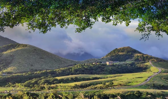 Qingtiangang, Taiwan-Oct 15, 2021: The natural source of alpine grasses is at Shangshan in Taipei City, Taipei City, Taiwan